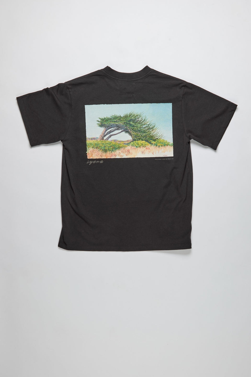 Souvenir Shortsleeve Tee Vintage Black Syera Cypress